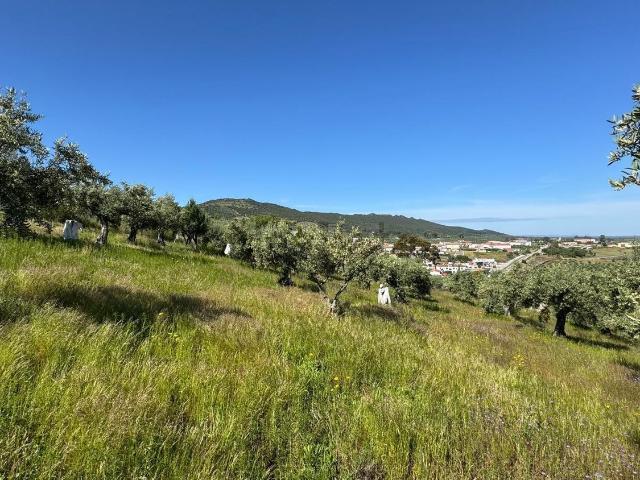 Terreno, Aliseda
