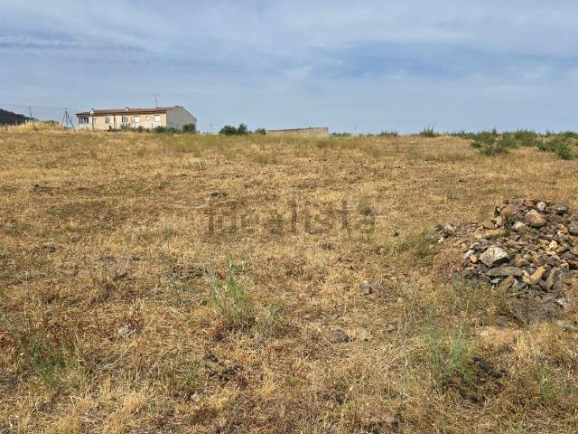 Terreno, Aliseda