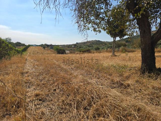 Terreno, Aliseda