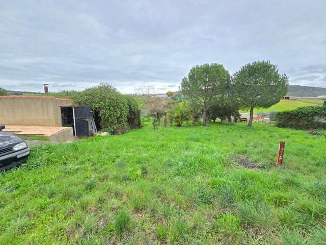 Terreno, Aliseda