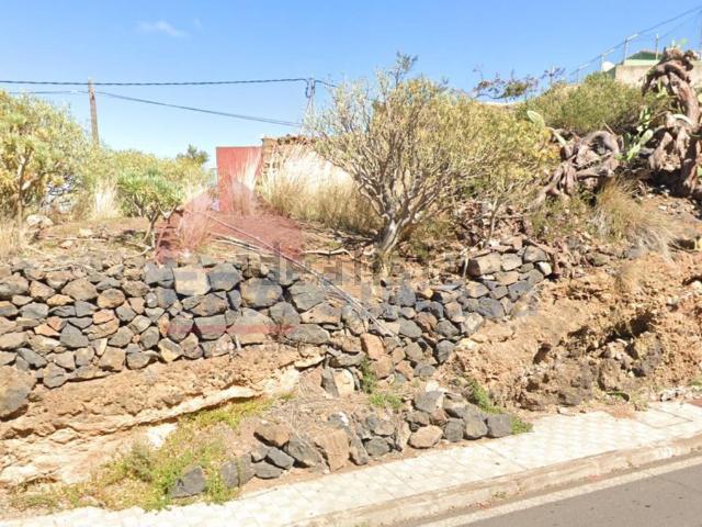 Terreno, Alisios, Santa Cruz de Tenerife