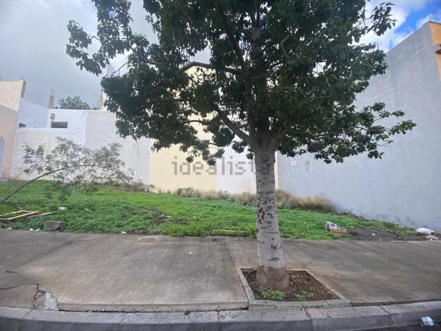 Terreno, Alisios, Santa Cruz de Tenerife