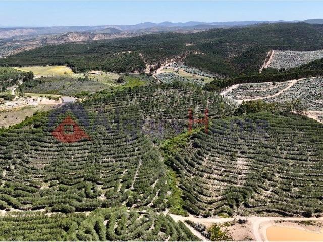 Terreno, Aljezur