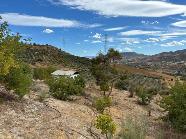 Terreno, Alora