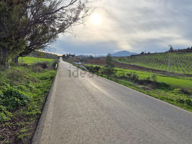 Terreno, Alora