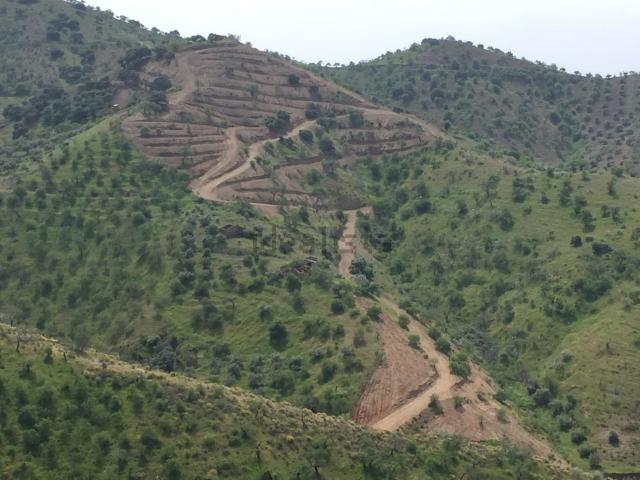 Terreno, Alora