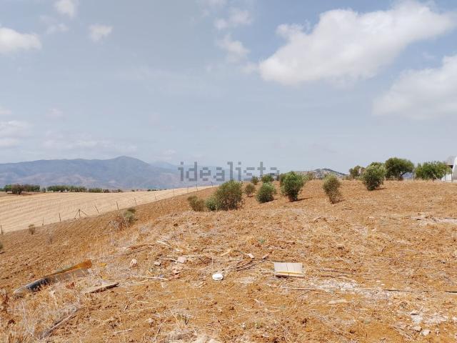 Terreno, Alora