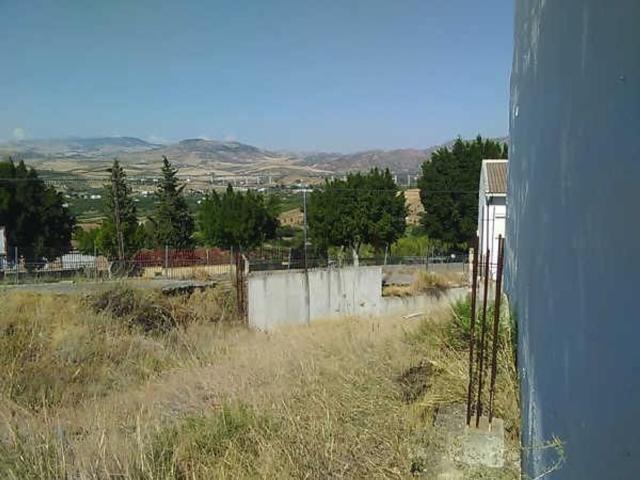 Terreno, Alora