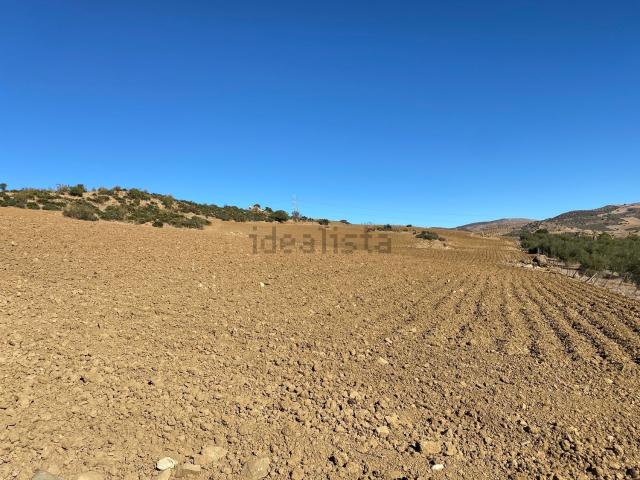 Terreno, Alora