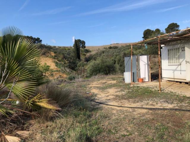Terreno, Alora