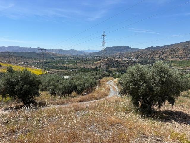 Terreno, Alora
