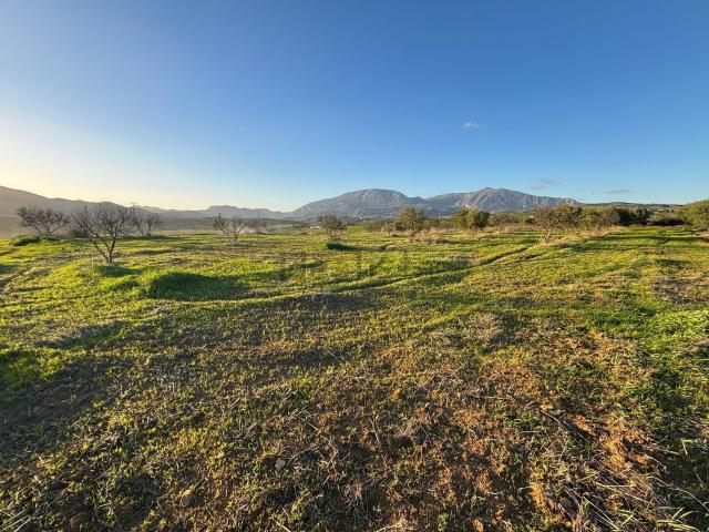 Terreno, Alora
