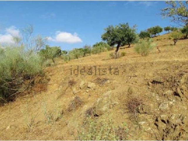Terreno, Alora