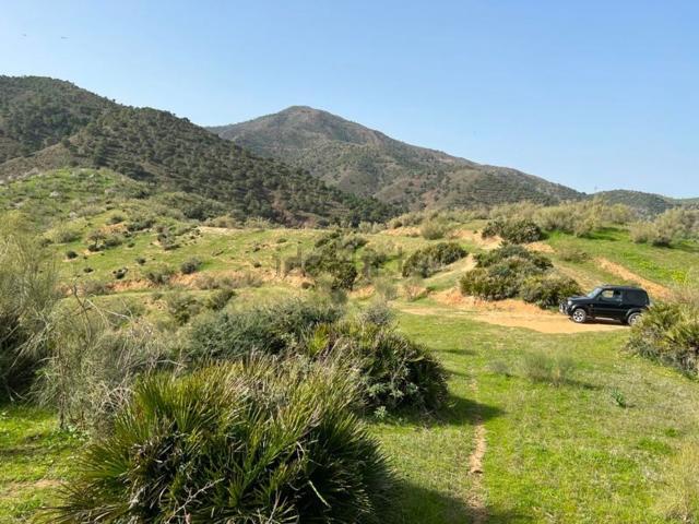 Terreno, Alora
