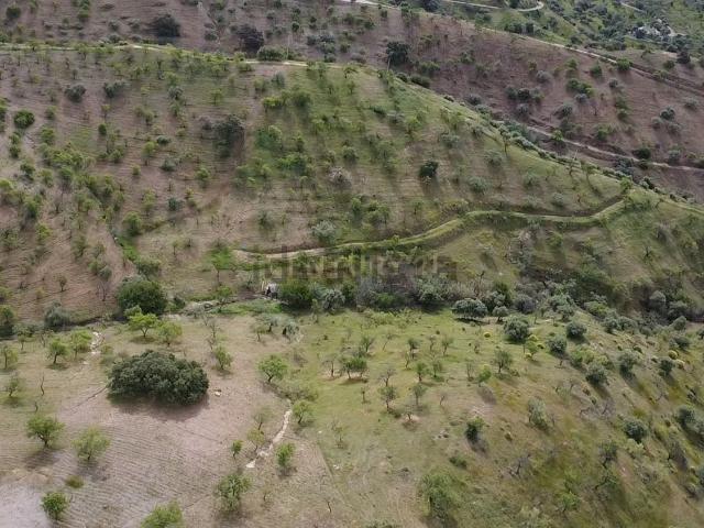 Terreno, Alora