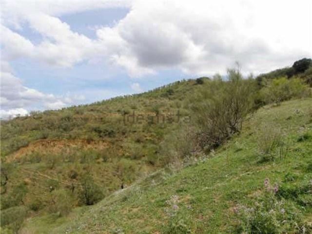 Terreno, Alora