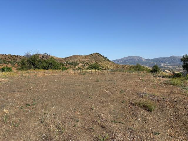Terreno, Alora