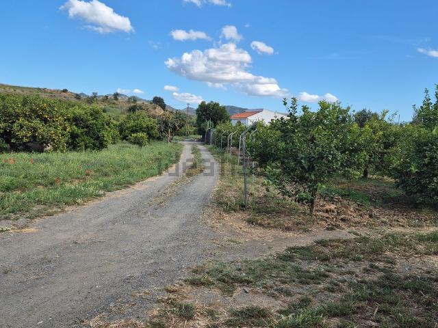 Terreno, Alora