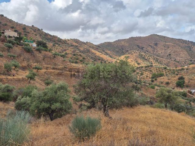 Terreno, Alora