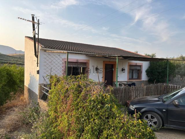 Terreno, Alora