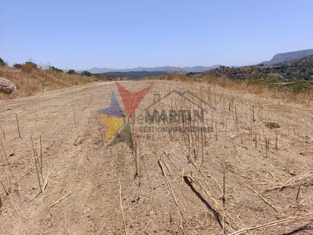 Terreno, Alora