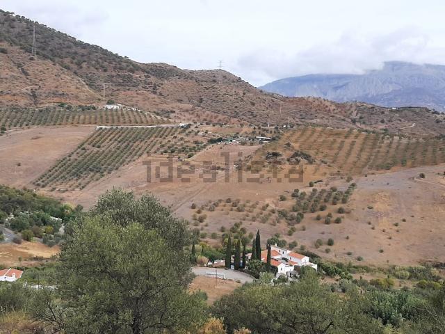 Terreno, Alora