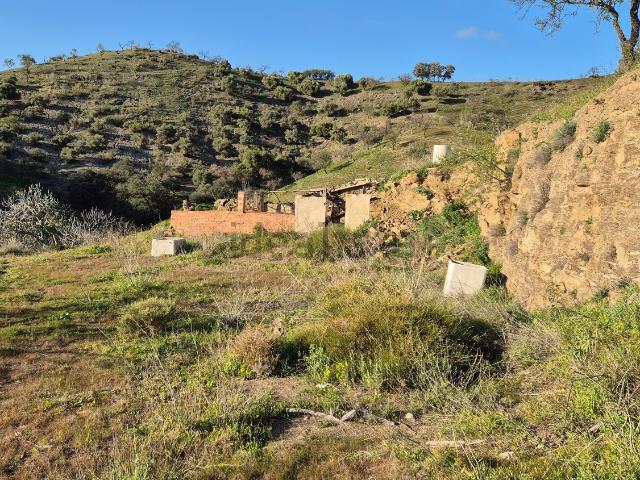 Terreno, Alora