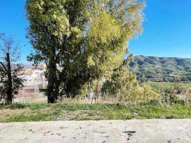 Terreno, Alora