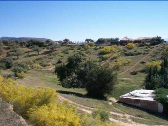 Terreno, Alora