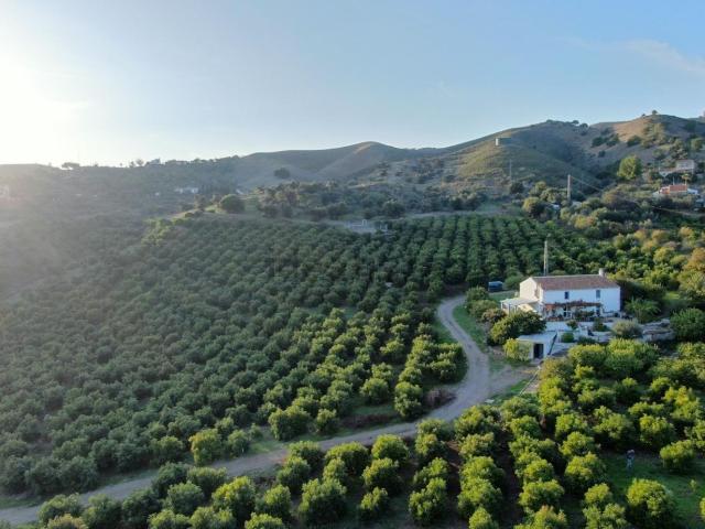 Terreno, Alora