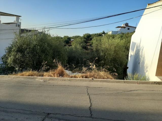 Terreno, Alora