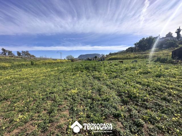 Terreno, Alora