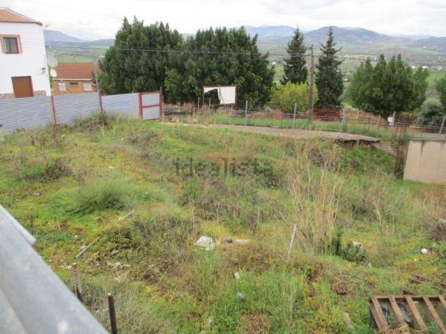 Terreno, Alora