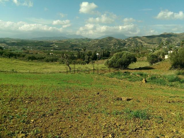 Terreno, Alora