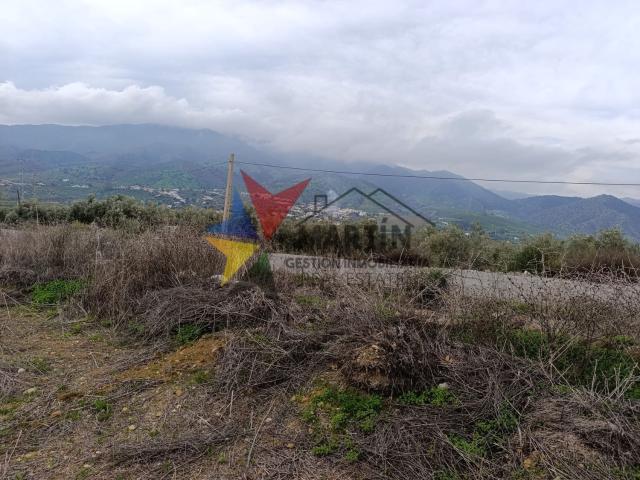 Terreno, Alora