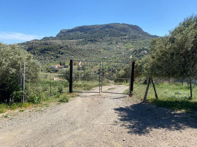 Terreno, Alora