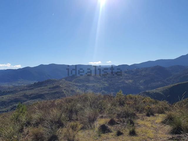 Terreno, Alozaina