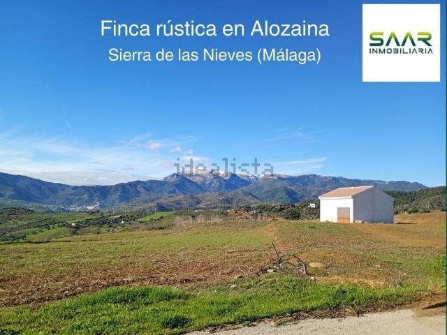 Terreno, Alozaina