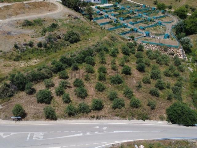 Terreno, Alozaina
