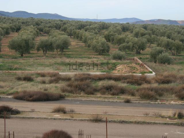 Terreno, Almodovar del Campo