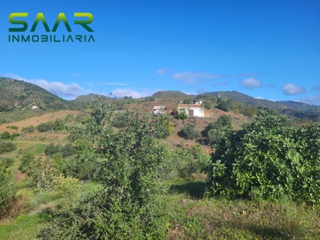 Terreno, Almogía