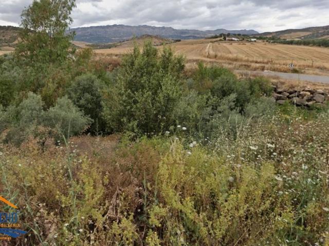 Terreno, Almogía
