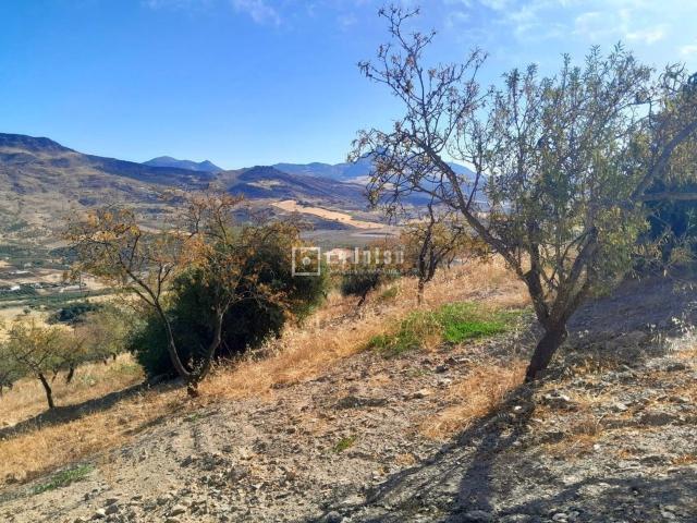Terreno, Almogía
