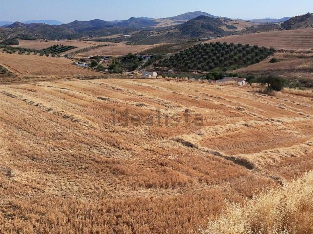 Terreno, Almogía