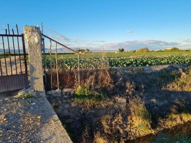 Terreno, Almoradí