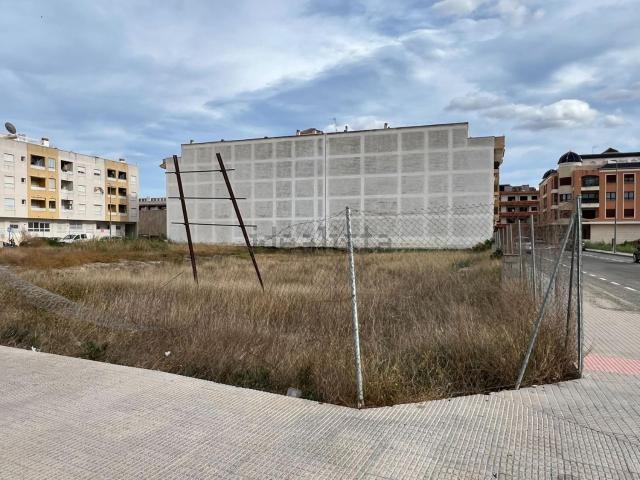 Terreno, Almoradí