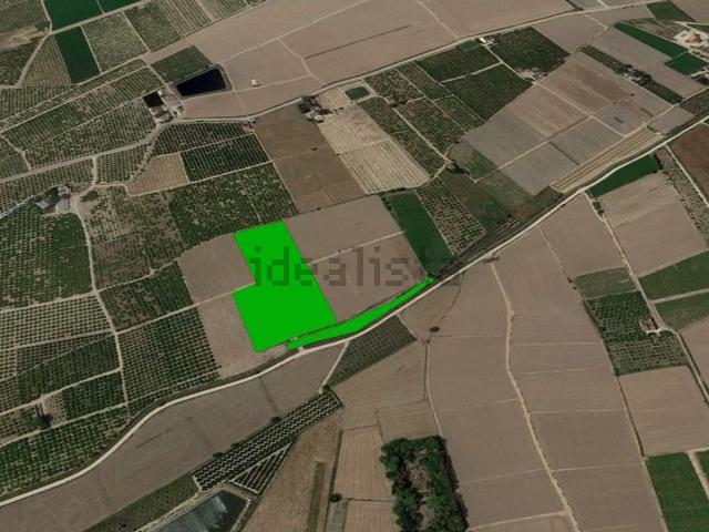 Terreno, Almoradí