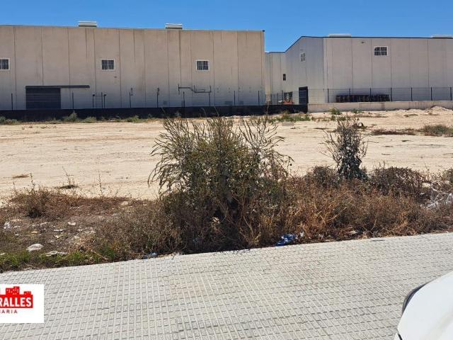 Terreno, Almoradí