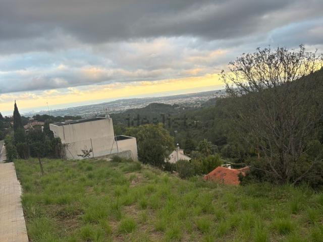 Terreno, Almoster