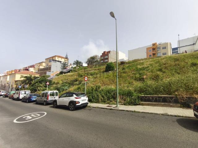Terreno, Almatriche, Las Palmas de Gran Canaria